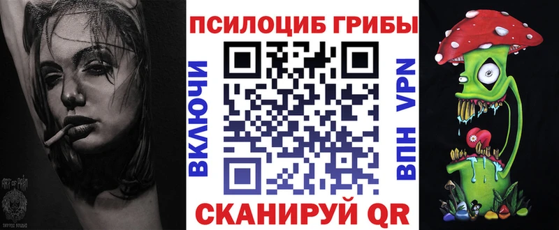 где купить наркоту  Коломна  Псилоцибиновые грибы Psilocybe 